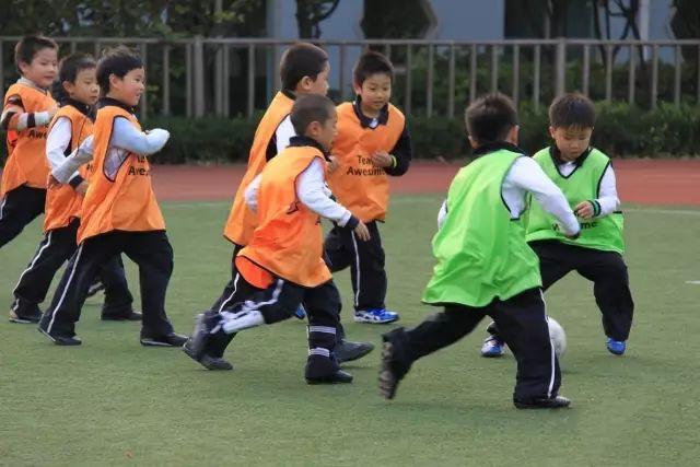 婴幼儿启蒙卡片，增强记忆与专注力的关键途径