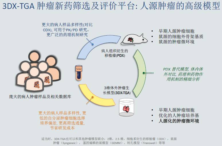 抗癌新药研发进入临床阶段，希望与挑战的时代