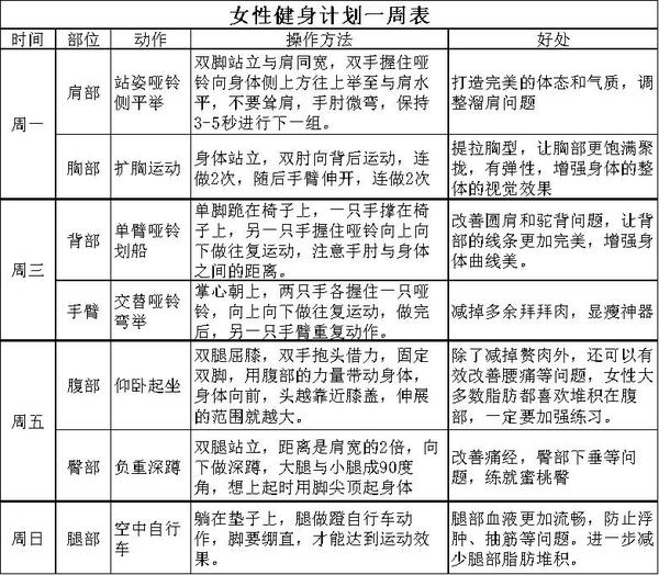 上班族简易养生运动计划，轻松打造健康生活方式