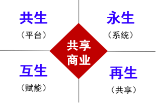 共享经济平台用户获取策略深度解析