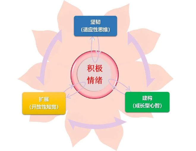 锦善良缘 第24页