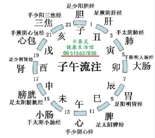 养生食谱，调节激素平衡的艺术之道