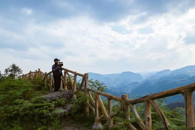 旅行前健康检查指南，确保旅途愉快与身体健康的必备攻略