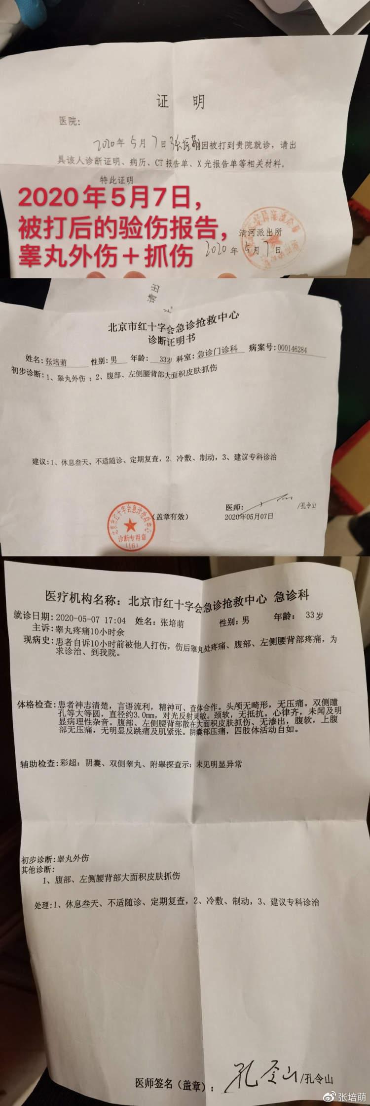 短跑名将张培萌家暴案，法律公正与社会反思交汇点