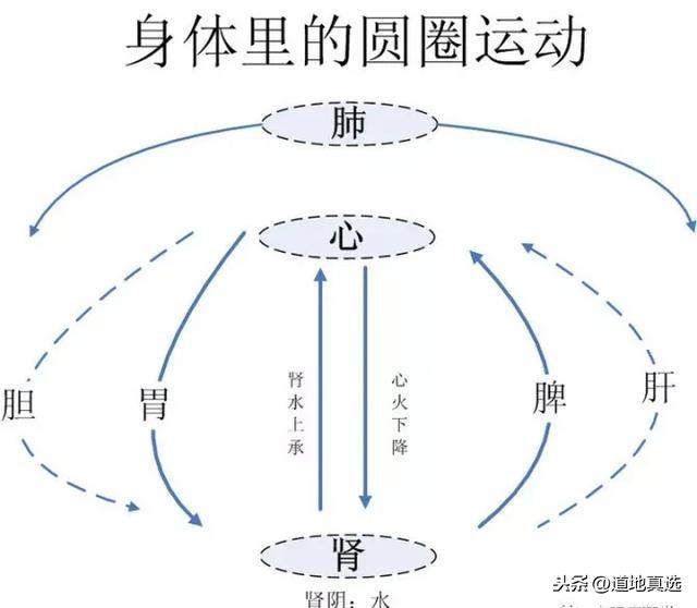 中医预防老年痴呆与记忆力衰退的方法与策略