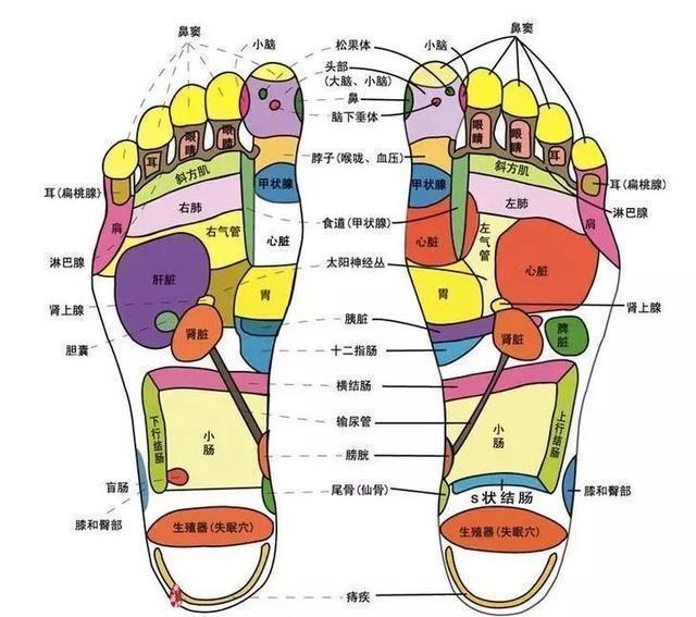 适合各年龄段的养生运动指南