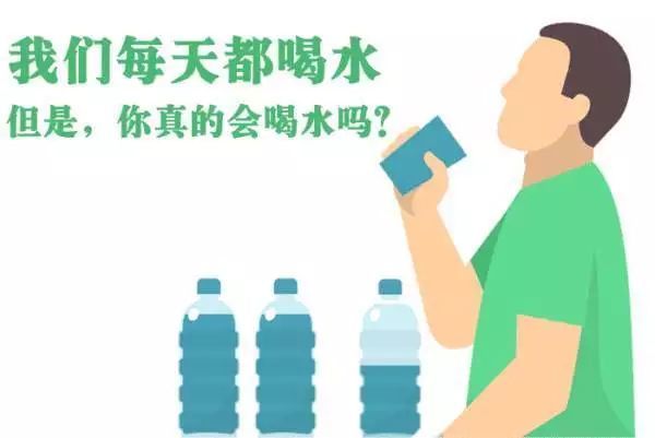 每日饮水八杯的科学依据与健康效益探讨