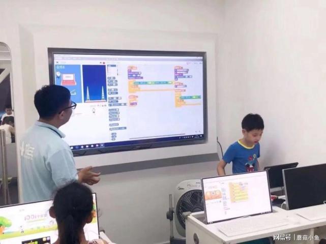儿童编程教育，培育未来科技人才的坚实基石
