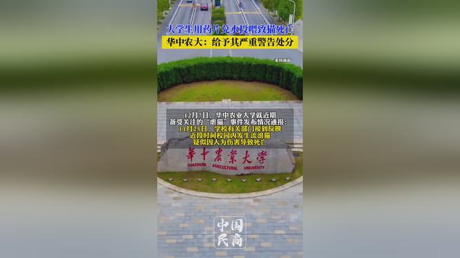 华中农大通报虐猫事件引发反思与行动热潮