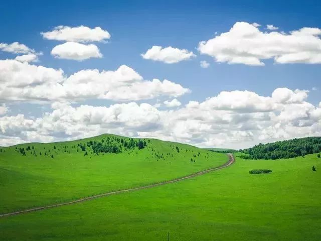 草原风情绝佳体验地