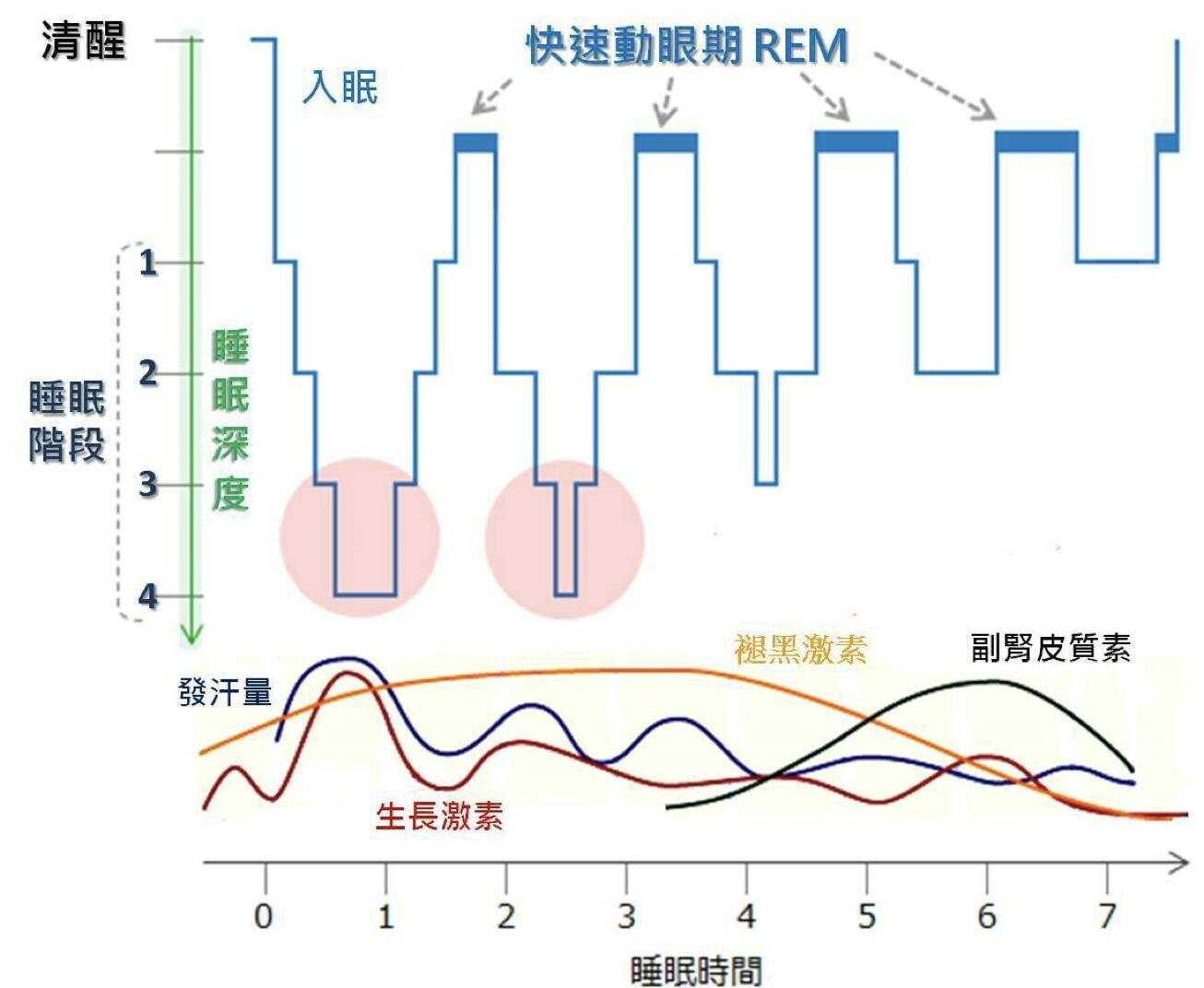 科学调整时差，恢复优质睡眠状态的方法