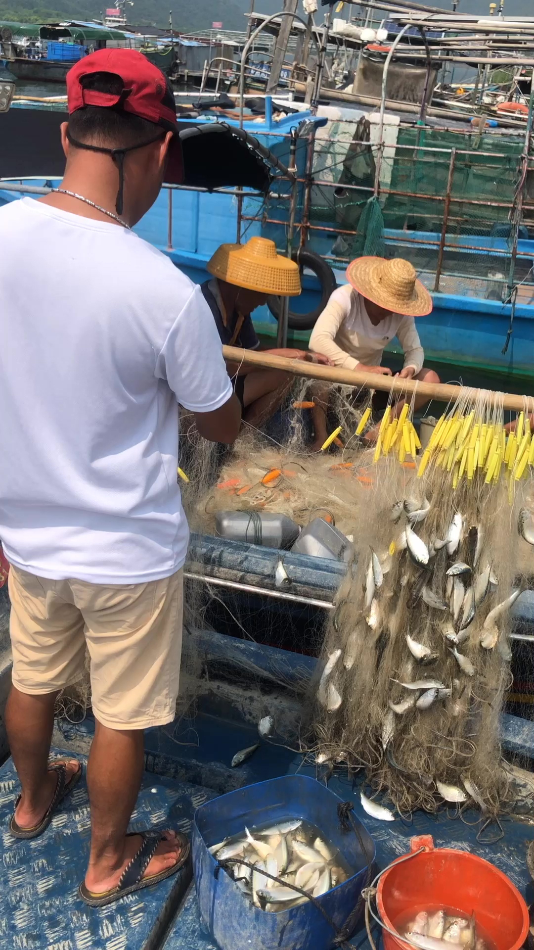 海岛之旅，渔民生活体验与鲜美海味品尝难忘之旅