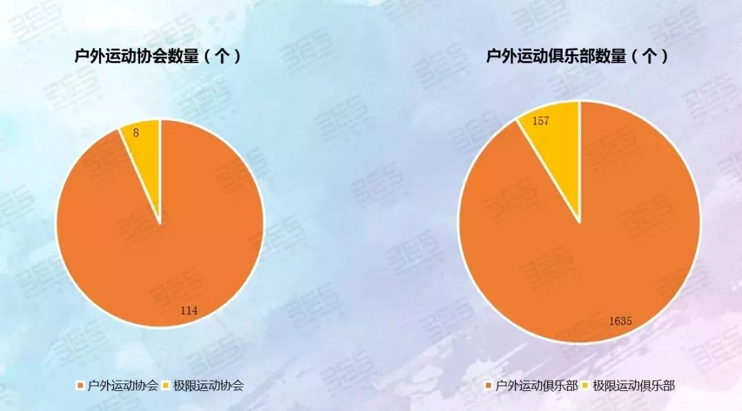 2024年12月10日 第44页