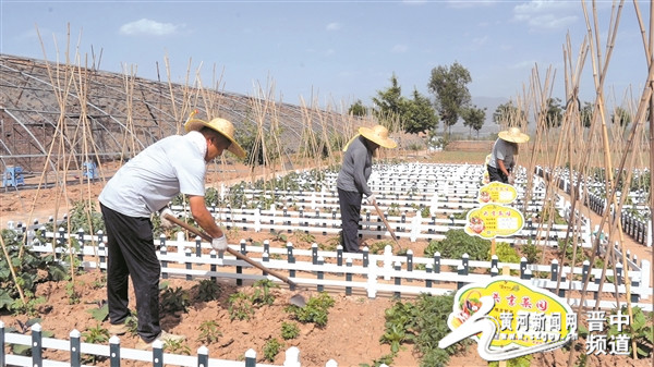 多地推行乡村游，激活农村经济新活力