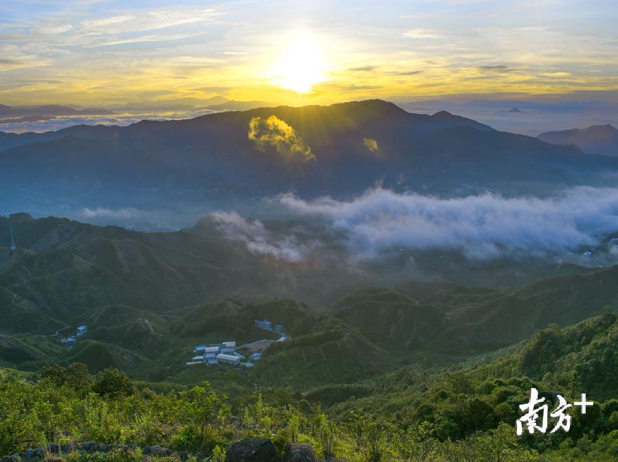 人工智能赋能文化创意精准分发，实现创意内容的个性化与高效传播