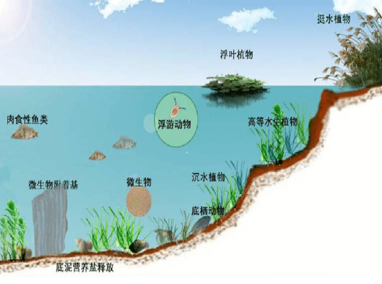 多地水环境治理优化，河流生态显著改善