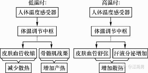 中医身体体温平衡调整法，探索中医如何调节体温保持平衡之道