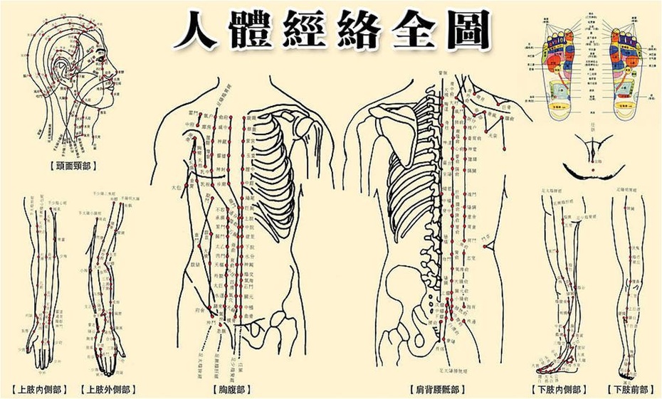 中医经络理论与日常按摩应用方法详解