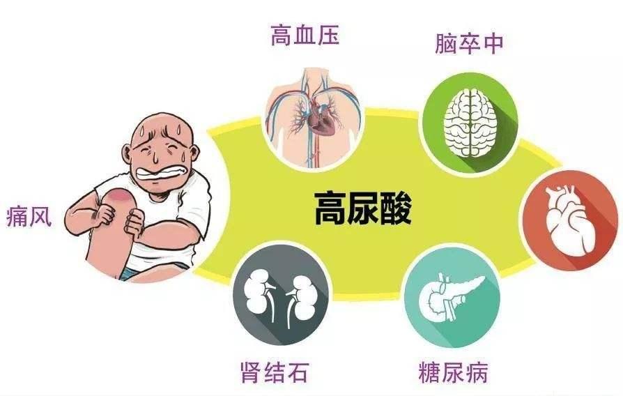 健康管理，从体检报告出发的科学分析与实践