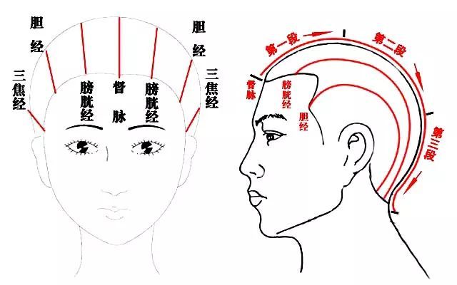 老年人全身经络按摩图解，操作指南与养生秘籍