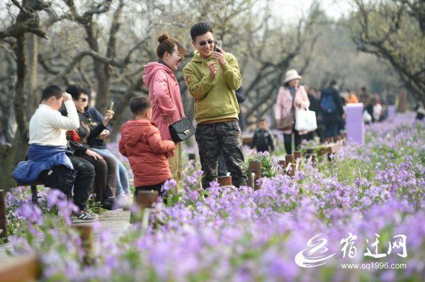 共享经济在旅游业的成功案例，颠覆传统旅游模式的创新力量解析