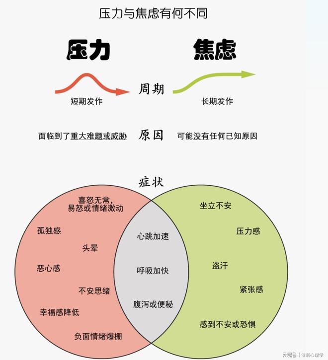 探索身心平衡的智慧之路，面对压力，如何休息与放松自己？