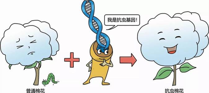 正向思维助力情绪逆袭，驱散负面情绪的方法与技巧