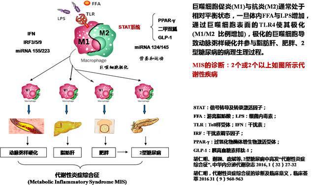 食疗调节血糖与血脂的有效方法