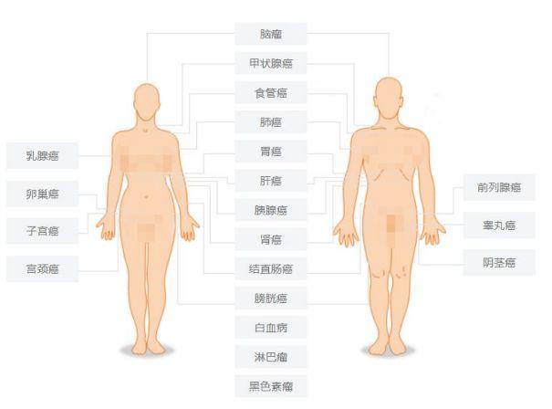 国家推动癌症早筛普及，防控成效显著，形势向好发展