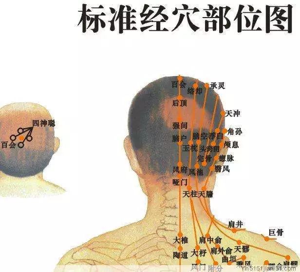 养生食谱，有效减轻体内毒素积聚的方法