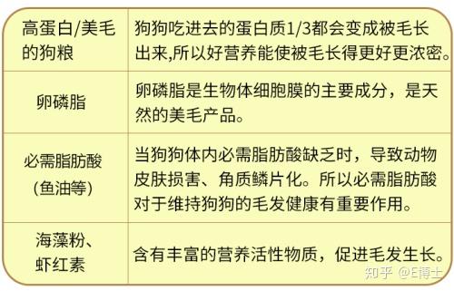 如何通过饮食调整改善内分泌问题