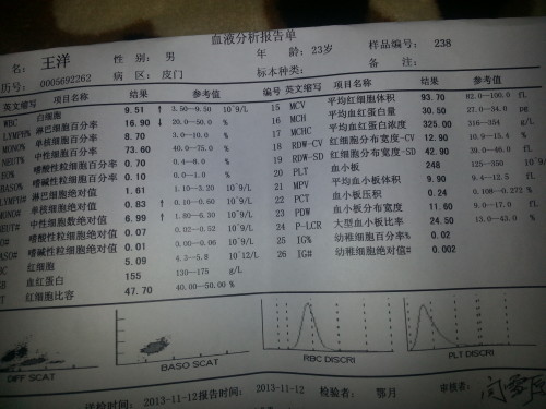 养生食谱助力调节甲状腺功能平衡